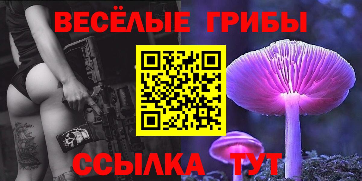 Галлюциногенные грибы GOLDEN TEACHER Нижнеудинск